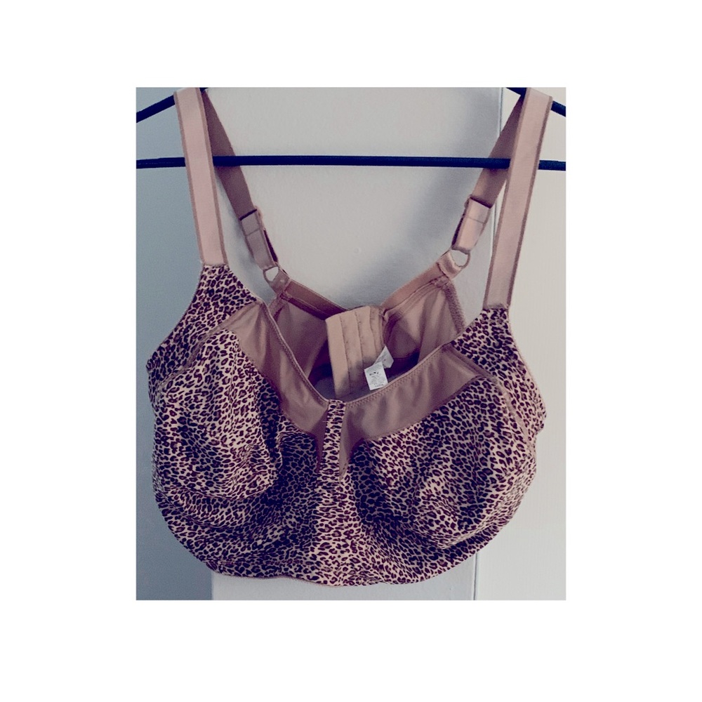 Sexy cheetah print bra.